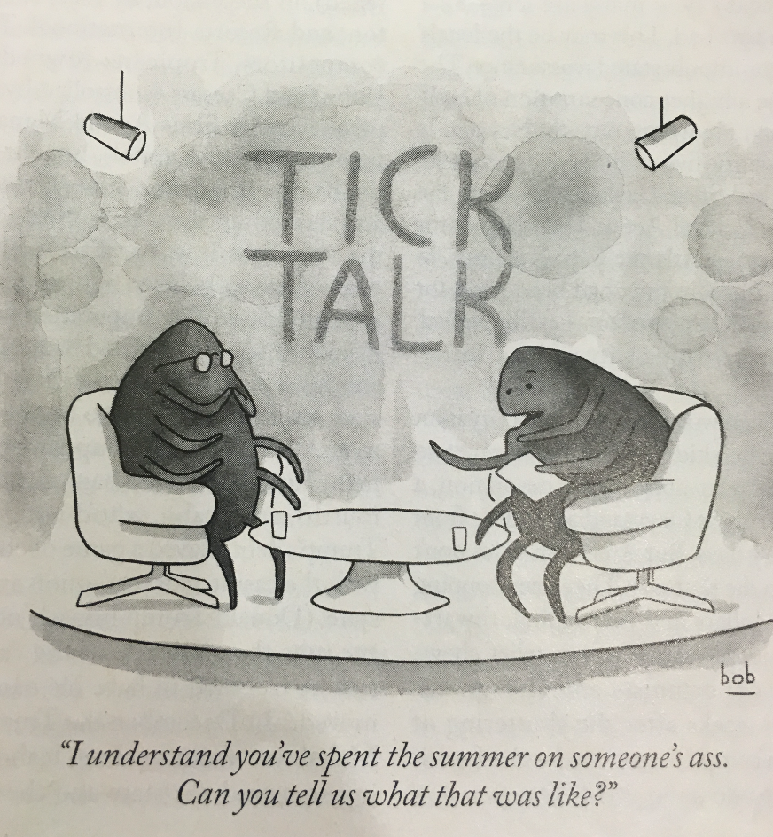 tick-talk